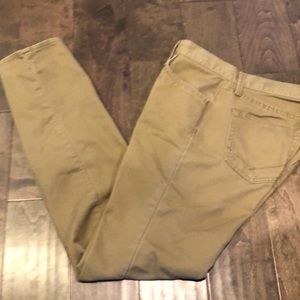 Vans V56 Standard Khaki Pant 31